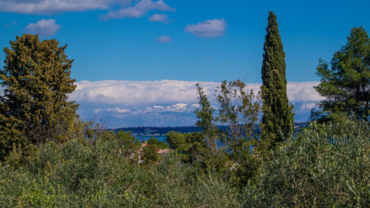 Vecchia Oliva,Kuljica Villa Куклица Екстериор снимка