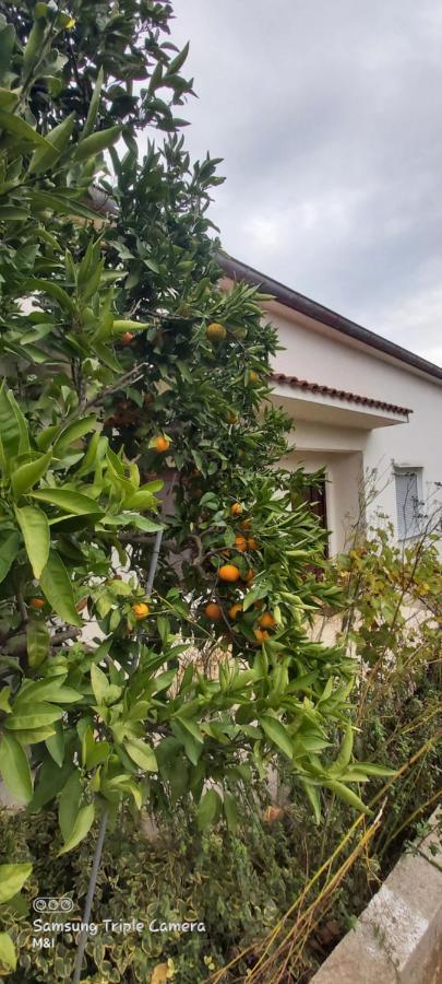 Vecchia Oliva,Kuljica Villa Куклица Екстериор снимка
